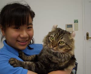 Noah Animal Hospital Staff holding cat