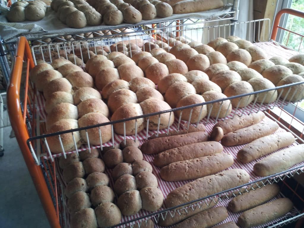 Trays of Fresh Baked Bread