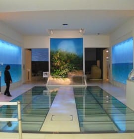 Okinawa Museum