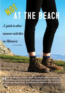 Not at the Beach cover page