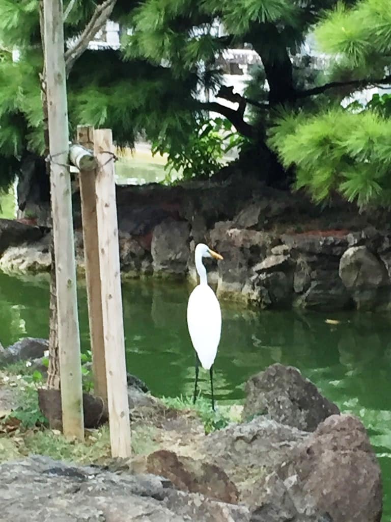 Fukushen Gardens