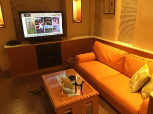 Love hotel room with seating area and TV