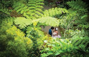 Couple in wedding dress under jungle canopy