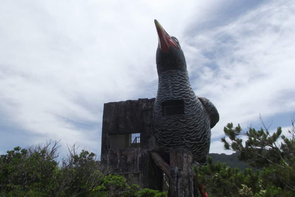 Cape Hedo