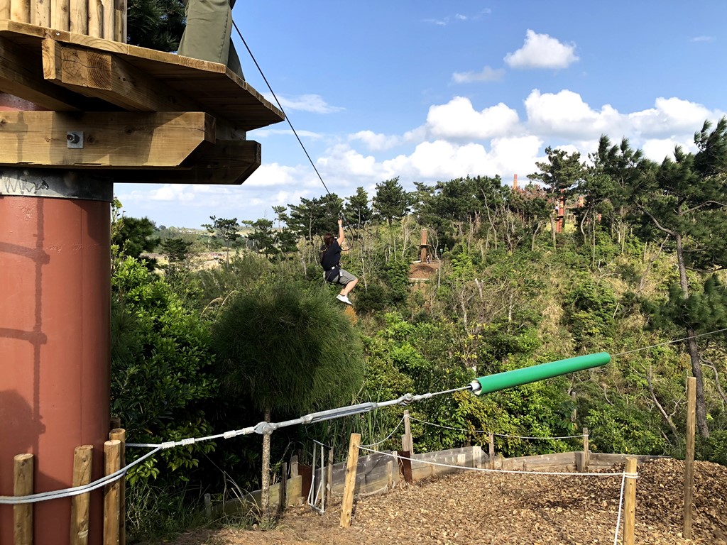 Forest Adventure Zip Line Park