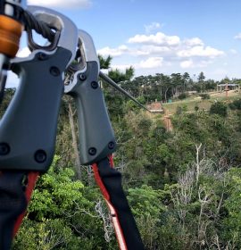 Forest Adventure Zip Line Park