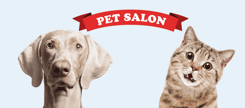 111 Okinawa Pet Salon