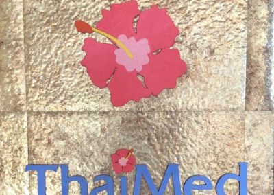 ThaiMed Logo