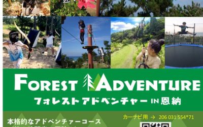 Forest Adventure January Discount!