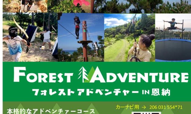 Forest Adventure January Discount!