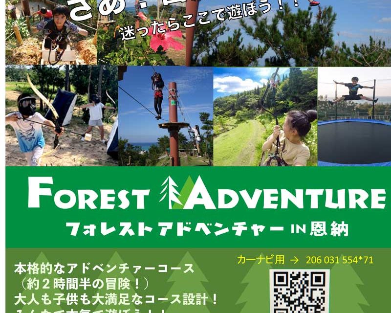 Forest Adventure January Discount!