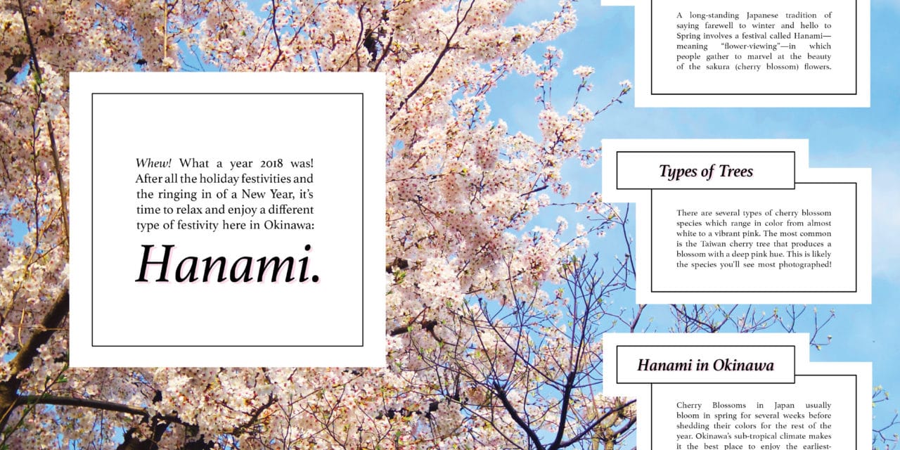 Hanami – Cherry Blossom in Okinawa