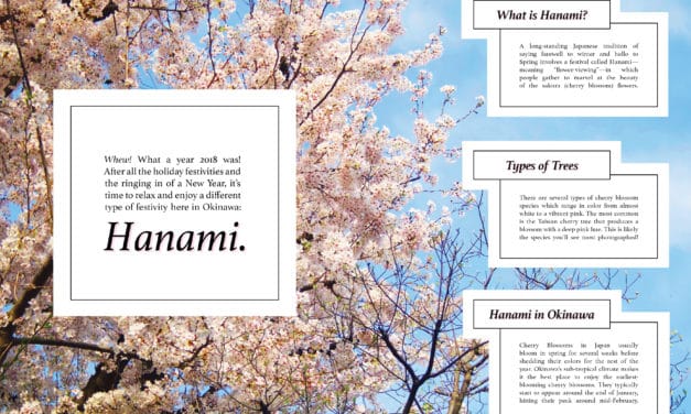 Hanami – Cherry Blossom in Okinawa