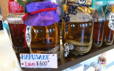 Souvenirs in Okinawa – Taking back home a piece of the Ryukyus