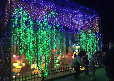 Okinawa Illuminations