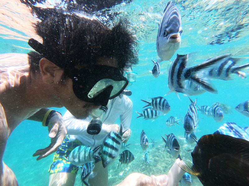 Snorkeling