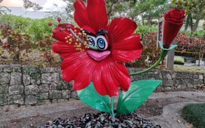 Trees of Green, Red Roses Too – Okinawa Valentine’s Day 2020