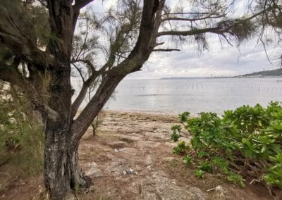 Okinawa Comprehensive Park