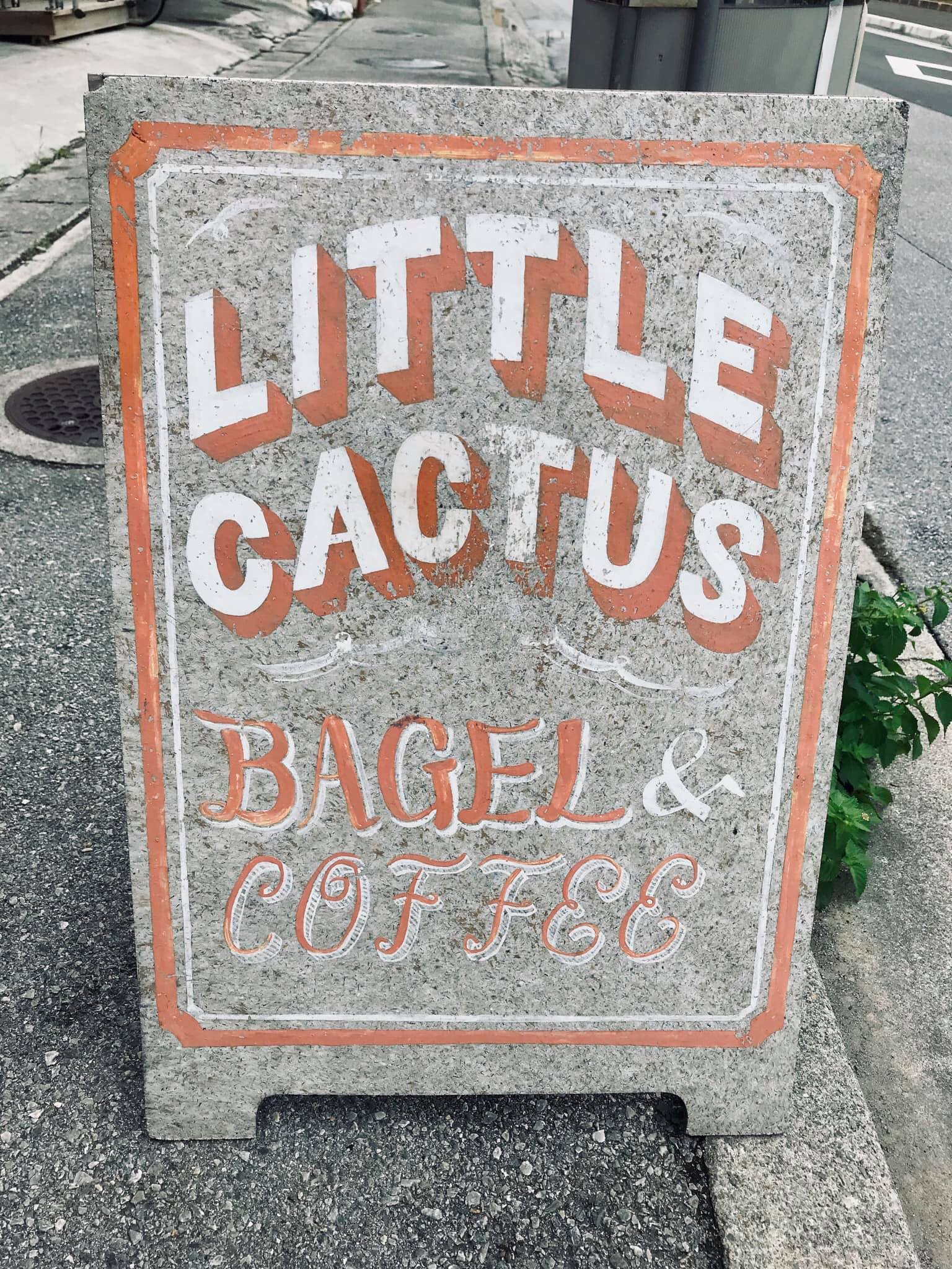 Little Cactus