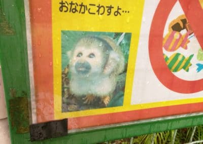 Squirrel Monkey Sign