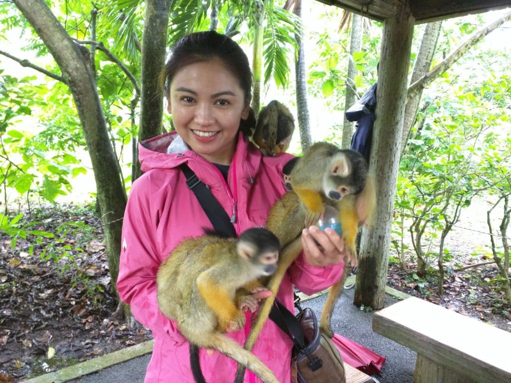 Squirrel Monkeys