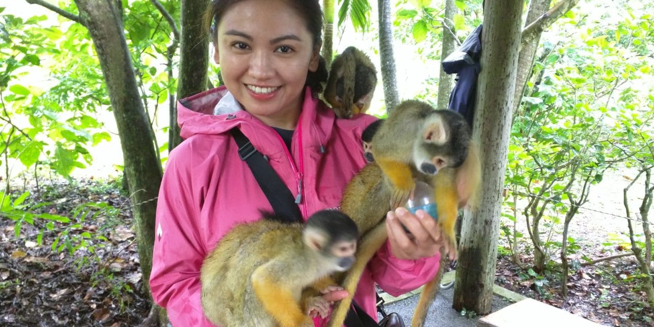 Ishigaki Part 2 – The Attack of the Squirrel Monkeys