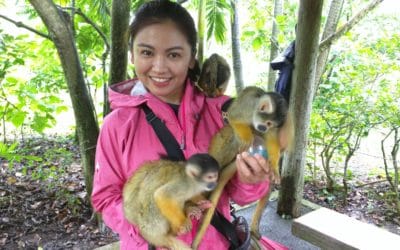 Ishigaki Part 2 – The Attack of the Squirrel Monkeys