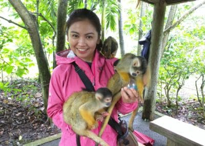 Squirrel Monkeys