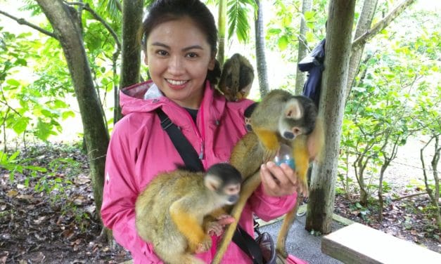 Ishigaki Part 2 – The Attack of the Squirrel Monkeys