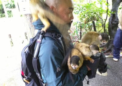 Man holding four squirrel monkeys