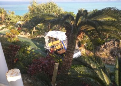 Buggy and View of Ocean