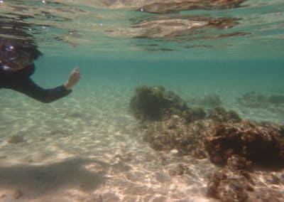 Scuba Diving on Ishigaki