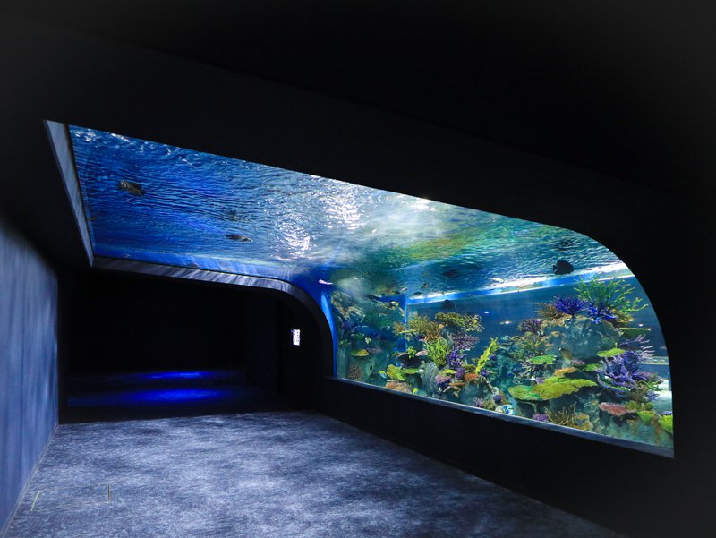 Fish tank tunnel