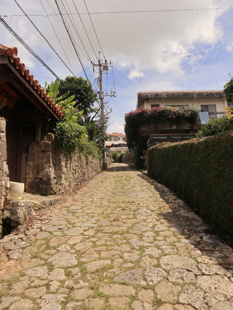 Road view looking up