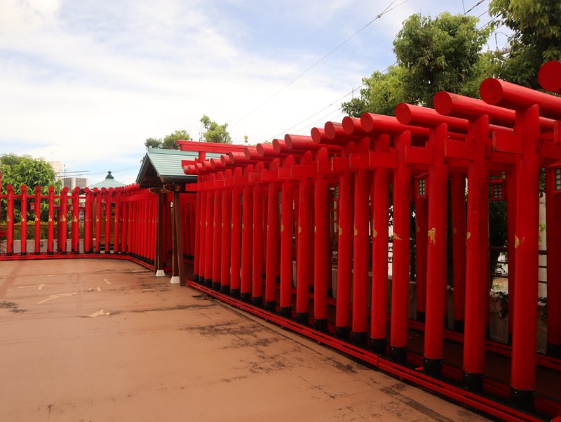 Torii gates