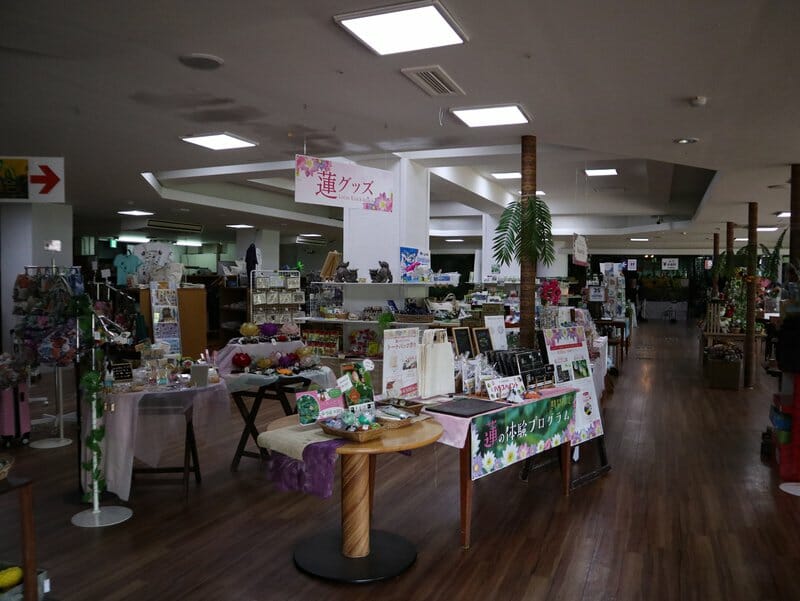 Gift shop interior