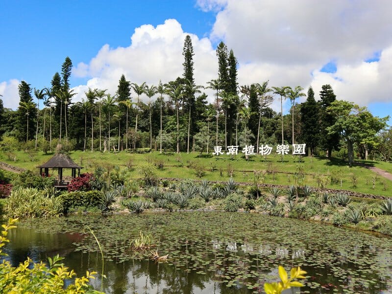 The main pond