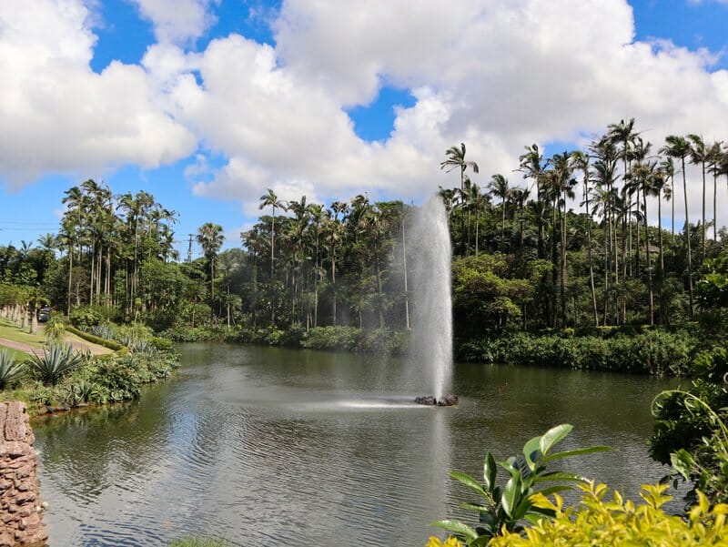 Fountain at the main pond