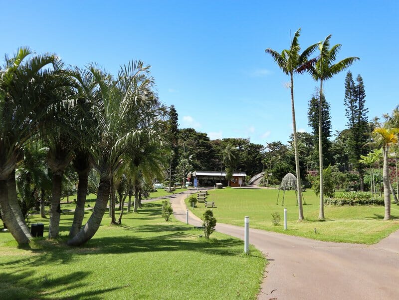 Path through the open grassy area