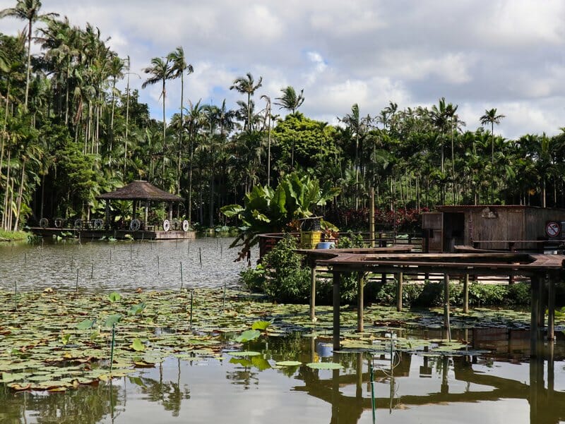 View across the lotus pond