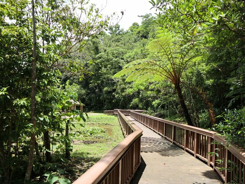 Boardwalk past the pond