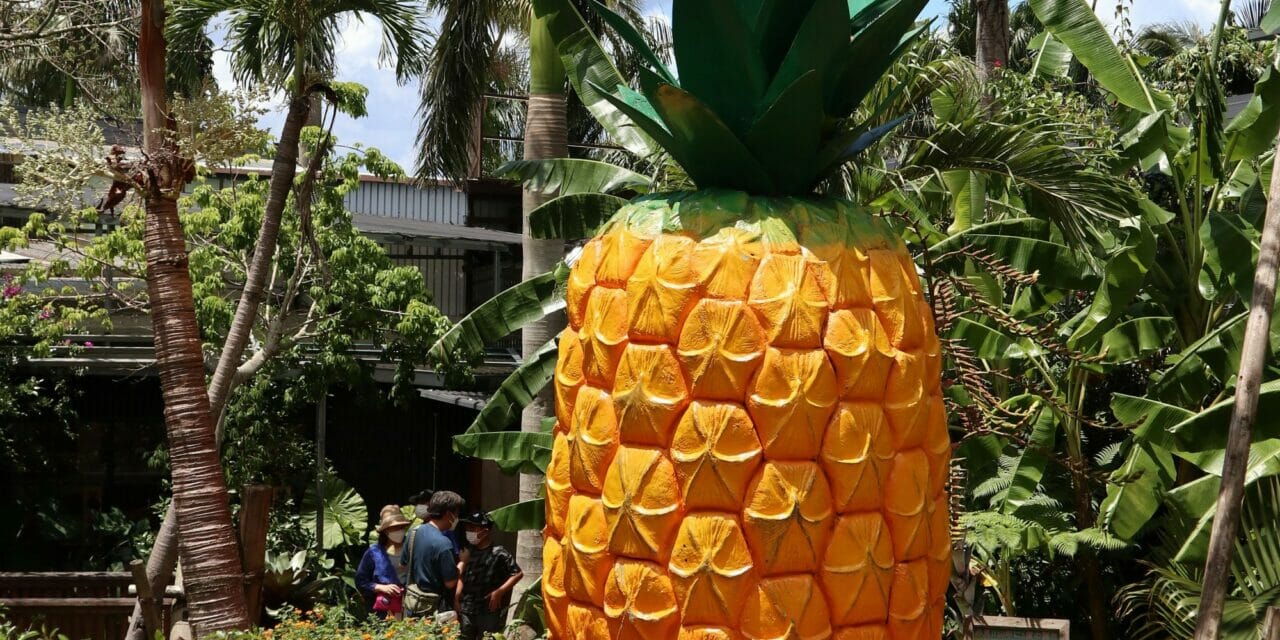 Nago Pineapple Park