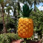 Nago Pineapple Park