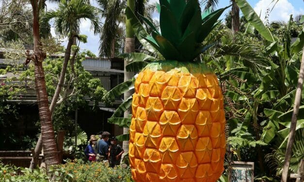 Nago Pineapple Park