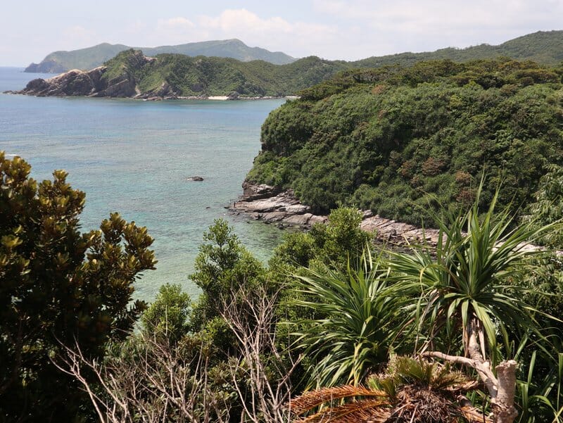 First view from Amagusuku