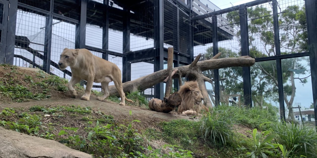 Okinawa Zoo & Museum