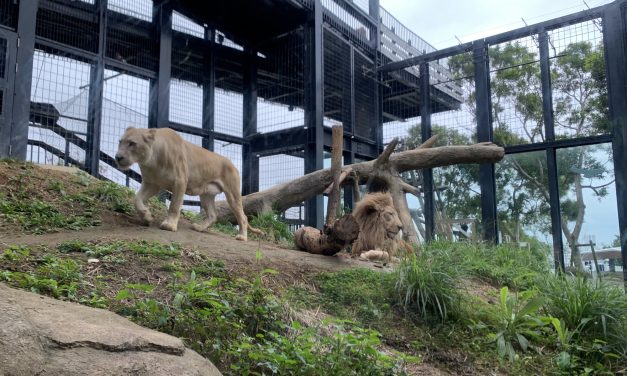 Okinawa Zoo & Museum