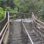 The Undiscovered Side to Peace Memorial Park